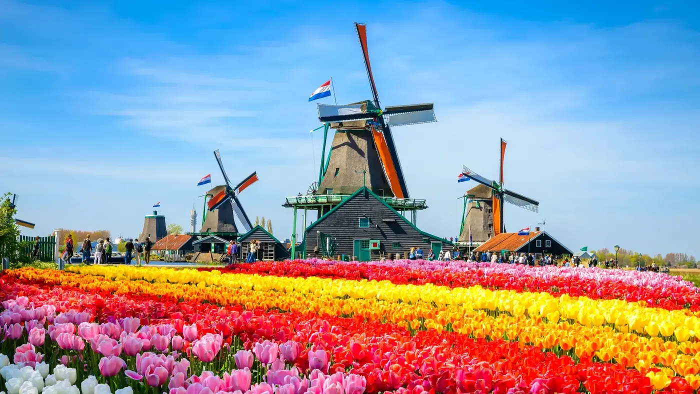 Traghetti e guida di Amsterdam: porto e collegamenti in traghetto