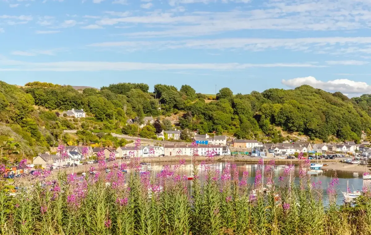 Destinazione traghetti: Fishguard