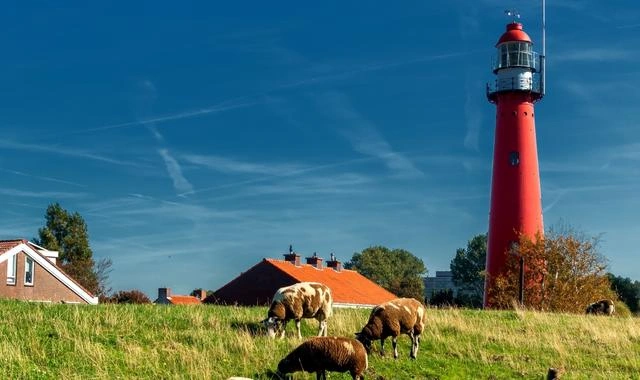 Traghetti e guida di Hoek van Holland: porto e collegamenti in traghetto