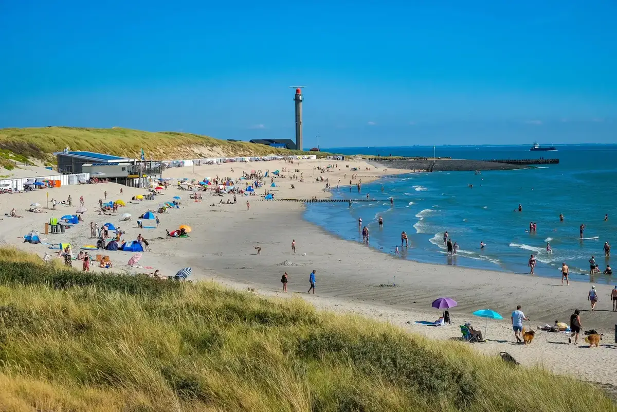 Destinazione traghetti: Hoek van Holland