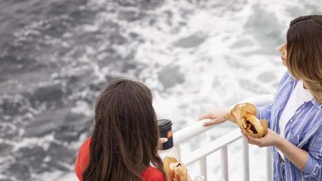 Servizi a bordo: traghetto, rotte e servizi passeggeri