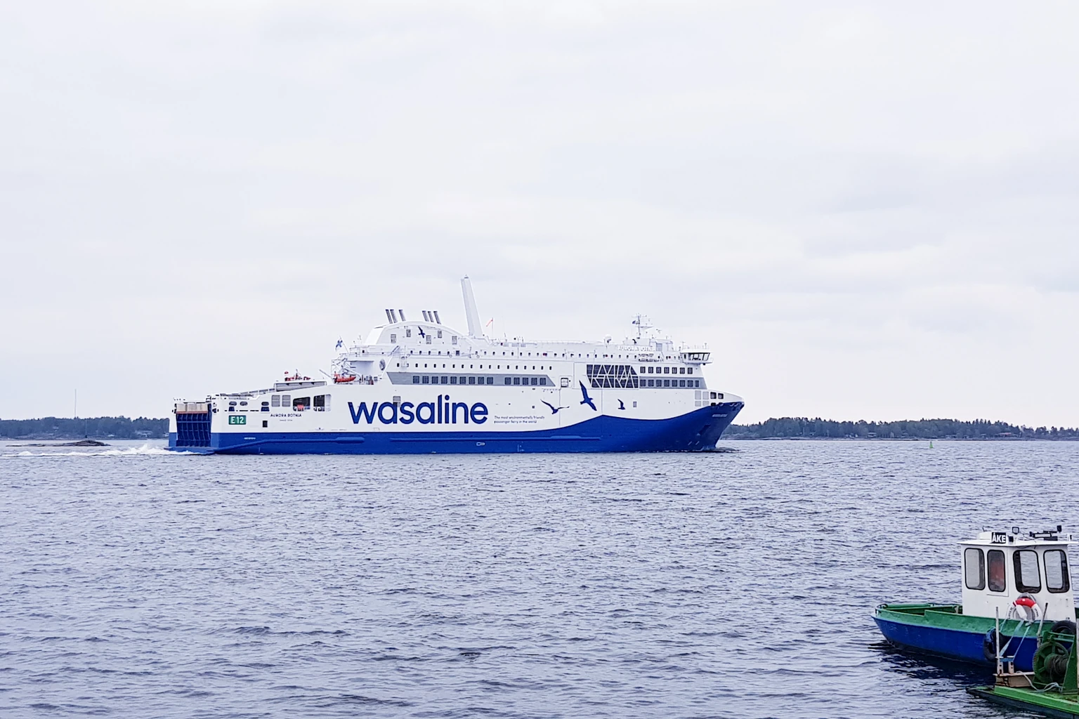 Wasaline: traghetto, rotte e servizi passeggeri
